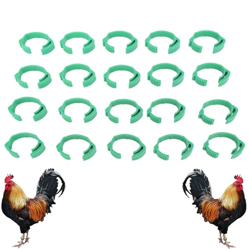 100pcs Hühnchen -Geflügelbeinbänder Ringe, Hühneridentifikationsbänder Verstellbare DIY -Clip -Tags für Entengänse -Tauben Grün grün 100pcs Hühnchen -Geflügelbeinbänder Ringe, Hühneridentifikationsbänder Verstellbare DIY -Clip -Tags für Entengänse -Tauben Grün grün von Beufee