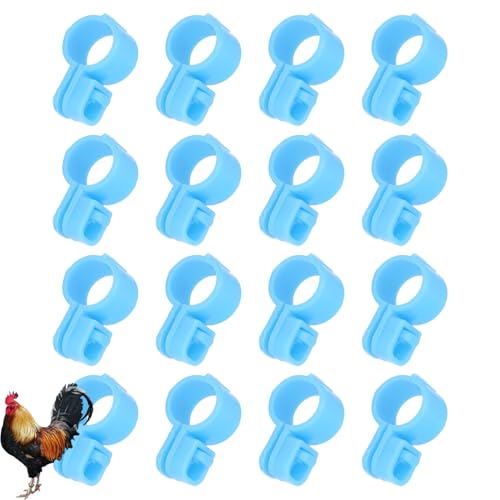 100pcs Hühneridentifikationsbänder, TPU -Schnallen -Design Geflügelhähnchen -Knöchelbänder Ring DIY -Tag für Entengänse -Tauben 2 Farben (Klein) von Beufee