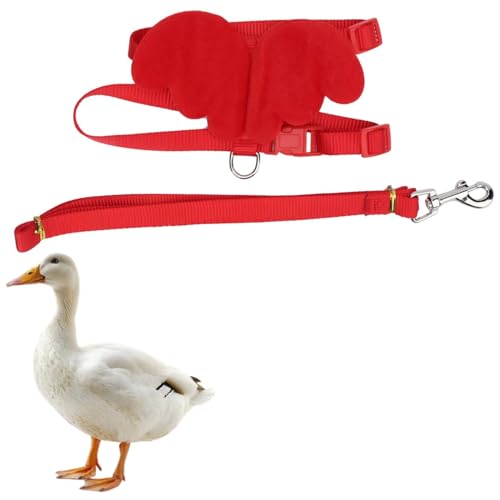 Entengeschirr, Verstellbarer Brustgurt, Außen-Gehgeschirr, Leine, Enten, Zugseil, Haustier-Hühnerwindeln für Haustier-Ente, Huhn, Gans (XS) von Beufee