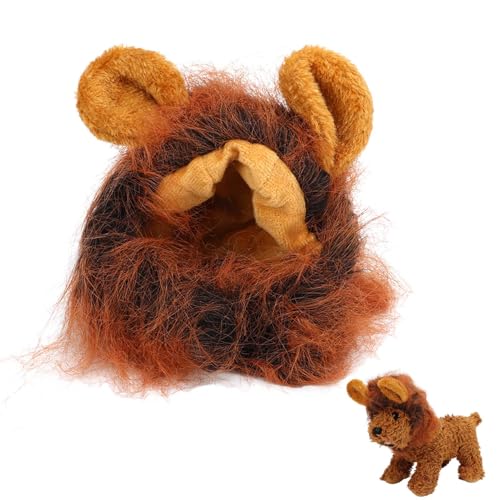 Katzenperücke, Katzenlöwenmähne, Perücke, Löwenmähne für Katze, Katze, Löwe, Kopfbedeckung, Dekoration, Haustier, verstellbar, waschbar, bequem, ausgefallenes Löwenhaar (Dunkelbraun) von Beufee