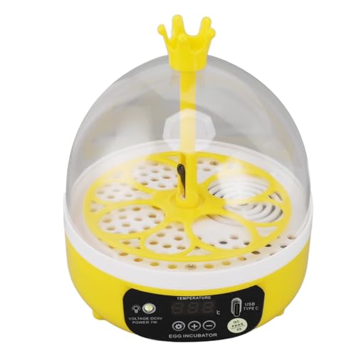 8-Eier-Inkubator, Brutapparate für Bruteier, Mini-Eierbrutapparate mit Automatischer Temperatur- und Feuchtigkeitskontrolle, Geflügel-Inkubator für Bruthühner, Wachteln, Enten, 8-Eier-Inkubator, Brutapparate für Bruteier, Mini-Eierbrutapparate mit Automatischer Temperatur- und Feuchtigkeitskontrolle, Geflügel-Inkubator für Bruthühner, Wachteln, Enten, von Bewinner