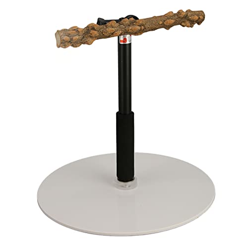 Einstellbarer Papageienspielständer - Tragbarer Abnehmbarer Vogelperch für Indoor -Outdoortravel, Tragbarer Abnehmbarer Papageienspielständer Einstellbarer Papageienspielständer - Tragbarer Abnehmbarer Vogelperch für Indoor -Outdoortravel, Tragbarer Abnehmbarer Papageienspielständer von Bewinner