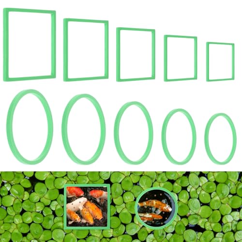 Bewudy 10 Stück Schwimmende Pflanzenringe, Fischfutterring für Aquarien 10 Größen Futterring Schwimmender Floating Plant Rings zum Stelle zu Halten Trennen Schwimmende Pflanzen (Quadratisch, Rund) Bewudy 10 Stück Schwimmende Pflanzenringe, Fischfutterring für Aquarien 10 Größen Futterring Schwimmender Floating Plant Rings zum Stelle zu Halten Trennen Schwimmende Pflanzen (Quadratisch, Rund) von Bewudy