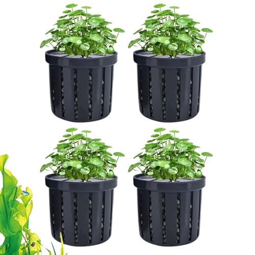 Aquarien Pflanzenhalter - Stabiler Pflanzenkorb für Fischbecken | Dekorativer Wasserpflanzen Halter, Wasserdékor Für Aquarien In Wohnung, Büro Und Restaurant Aquarien Pflanzenhalter - Stabiler Pflanzenkorb für Fischbecken | Dekorativer Wasserpflanzen Halter, Wasserdékor Für Aquarien In Wohnung, Büro Und Restaurant von Bexdug