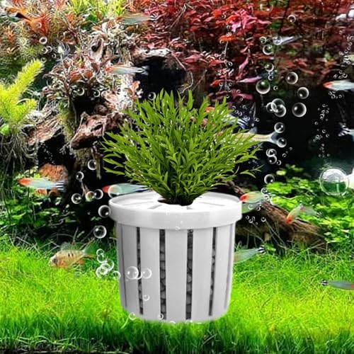 Aquarium Pflanzenhalter,Stabiler Pflanzenkorb für Fischbecken | Dekorativer Wasserpflanzen Halter, Wasserdékor Für Aquarien In Wohnung, Büro Und Restaurant Aquarium Pflanzenhalter,Stabiler Pflanzenkorb für Fischbecken | Dekorativer Wasserpflanzen Halter, Wasserdékor Für Aquarien In Wohnung, Büro Und Restaurant von Bexdug