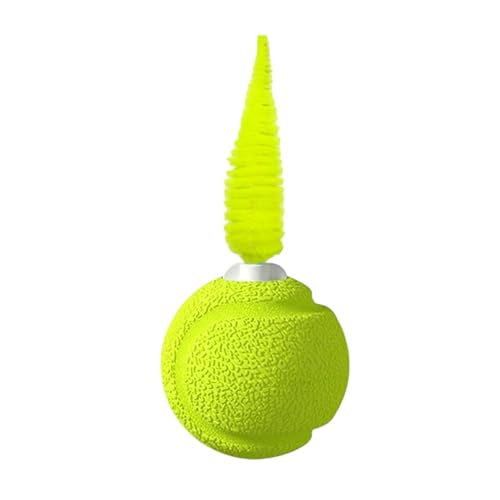 Ball mit Federn Katze | Katzenkinder Aktivball Mit Klang | Hüpfendes Spielzeug Zur Bewegung Und Unterhaltung Gegen Langeweile Für Wohnungskatzen Ball mit Federn Katze | Katzenkinder Aktivball Mit Klang | Hüpfendes Spielzeug Zur Bewegung Und Unterhaltung Gegen Langeweile Für Wohnungskatzen von Bexdug
