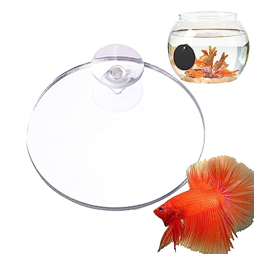 Betta Fischspiegel | Schwimmender doppelseitiger Fishbowl-Spiegel | Thematische Ornamente für Aquarien. Zuhause, Büro, Wohnzimmer, Aquarien, Hoteldekoration Bexdug von Bexdug