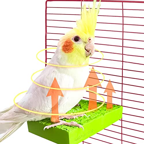 Bexdug Beheizte Vogelstange - Heizplattform Vogelstange 5W | Stangenständer-Käfig-Zubehör für kleine und mittelgroße Vögel, Übungsspielplatz-Spielzeug von Bexdug