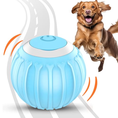 Bexdug Beweglicher Ball für Hunde, Bewegliches Hundespielzeug für kleine Hunde - Aktiv bewegliches elektrisches Hundespielzeug - 360 Grad drehbares, bewegungsaktiviertes, automatisch rollendes Bexdug Beweglicher Ball für Hunde, Bewegliches Hundespielzeug für kleine Hunde - Aktiv bewegliches elektrisches Hundespielzeug - 360 Grad drehbares, bewegungsaktiviertes, automatisch rollendes von Bexdug