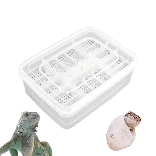 Bexdug Brutkasten für Reptilien-Eier, Reptilien-Zuchtbox | 16 Gitter transparente Brutbox für Reptilieneier - Brutkasten, Brutkasten, Brutkasten für Gecko, Eidechse, Löwenmähne von Bexdug