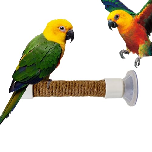 Bexdug Fensterbarsch für Vögel, Saugnapfbird Barsch | Spiegel Shotet Rack,Saugnapfbecher tragbares Barsch -Käfig -Zubehör für Vogel -Majaw -Sicht von Bexdug