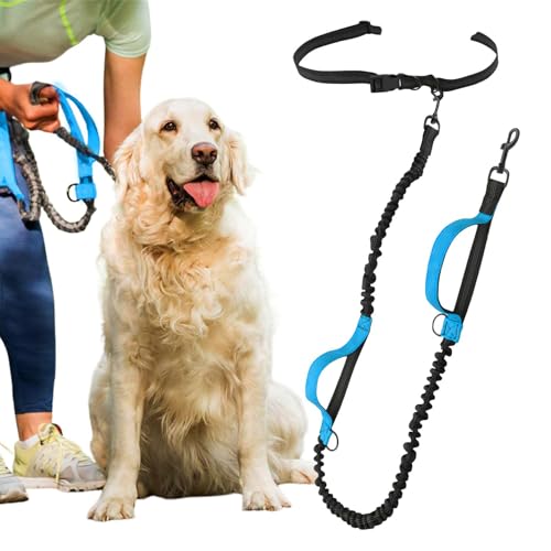 Bexdug Freihändiges Seil für Hunde, freihändiges Hundeseil | Einziehbares Seil für Hunde,Freihändiges, reflektierendes Hundeseil, einfach verstellbares Hundeseil an der Taille für Spaziergänge mit dem Bexdug Freihändiges Seil für Hunde, freihändiges Hundeseil | Einziehbares Seil für Hunde,Freihändiges, reflektierendes Hundeseil, einfach verstellbares Hundeseil an der Taille für Spaziergänge mit dem von Bexdug