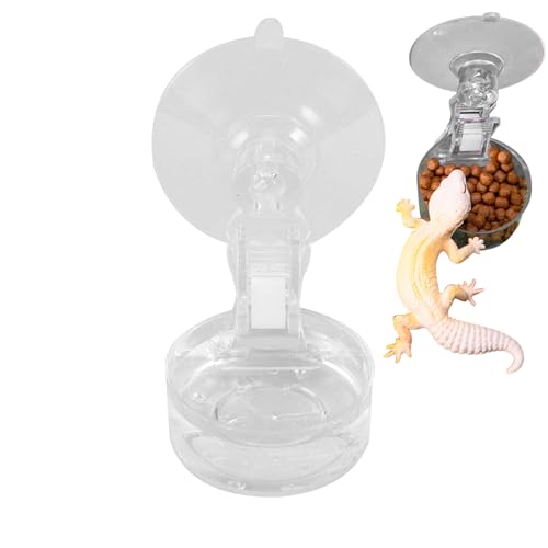 Bexdug Futternapf - Haftender Terrarien Futternapf mit Saugnapf,Praktischer Napf Für Tierfütterung, Trinken & Einfache Reinigung Im Wohnzimmer, Garten Und Balkon von Bexdug