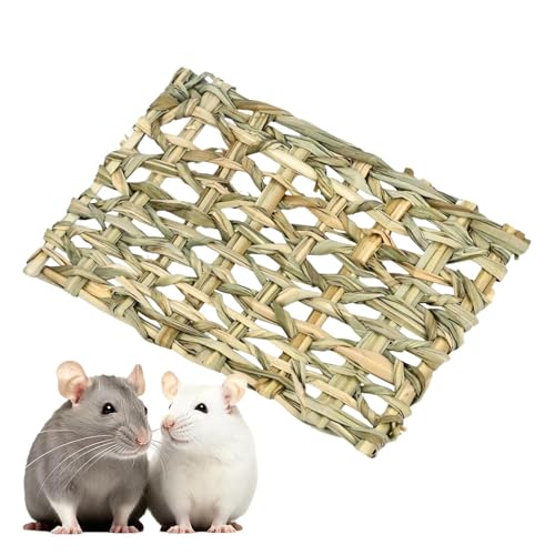 Bexdug Grastunnelnest,Gewebter Tunnel für Haustiere | Verstecktes Grastunnel-Spielzeug | Kaninchen-Versteck, Gras-Versteck, Hasen-Grashaus, Kauspielzeug, Versteck-Gras-Tunnel-Spielzeug von Bexdug