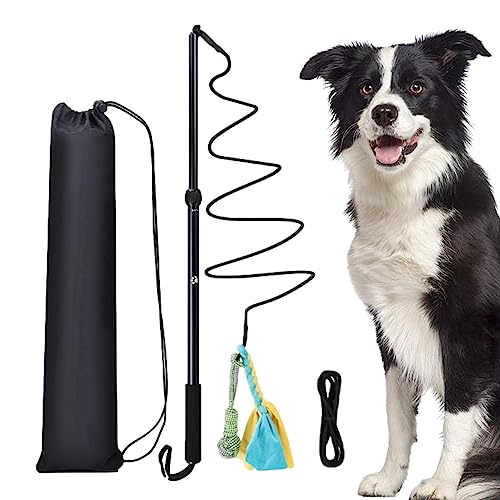 Bexdug Hunde-Teaser-Tools - Teleskop-Zauberstab für Hunde,Interaktives Spielzeug für Welpen, die den Schwanz jagen, Flirtstange für Haustiere, Welpen, Katzen, drinnen und draußen von Bexdug