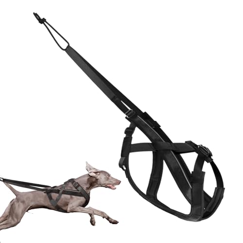 Bexdug Hundegeschirr Zum Ziehen - Reflektierendes Laufgeschirr Für Hunde - Verstellbares Zugseil Für Schlittenhundetraining Spaziergänge Laufsport Outdoor Aktivitäten von Bexdug