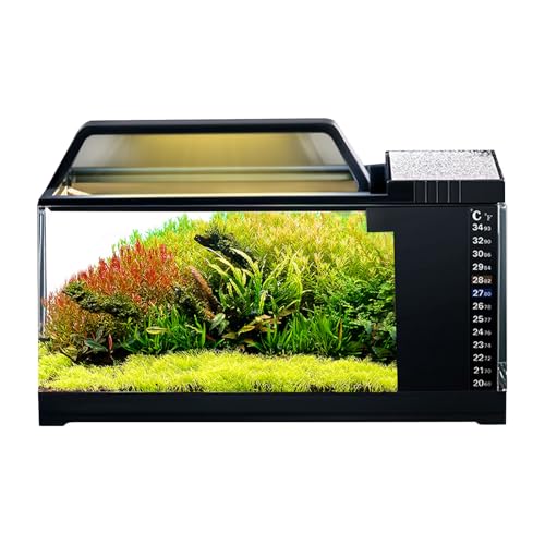 Bexdug Kampffisch Aquarium,Aquarium Komplettset Mit LED Beleuchtung Und Filtersystem - Intelligentes Kleinaquarium Mit Leiser Pumpe & Temperaturüberwachung Für Kampffische, Guppys Und von Bexdug