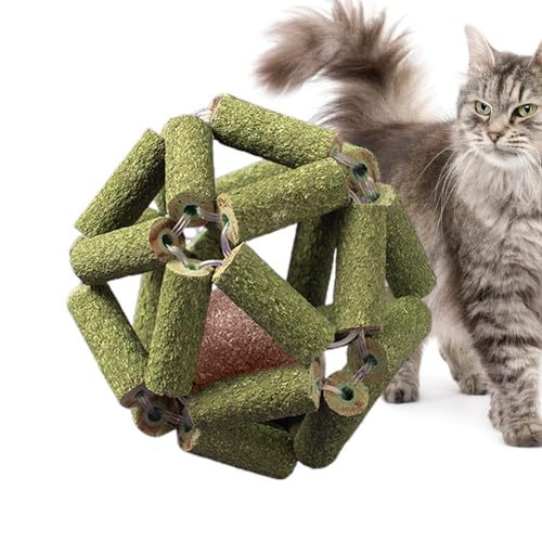 Bexdug Katzen-Katzenminze-Spielzeug,Katzenminze-Ball-Spielzeug | Natürliche Silvervine Stick Cage Balls - Bissfestes, sicheres Kauspielzeug für Katzen, Käfigbälle, Katzenminze-Ballspielzeug für alle Bexdug Katzen-Katzenminze-Spielzeug,Katzenminze-Ball-Spielzeug | Natürliche Silvervine Stick Cage Balls - Bissfestes, sicheres Kauspielzeug für Katzen, Käfigbälle, Katzenminze-Ballspielzeug für alle von Bexdug