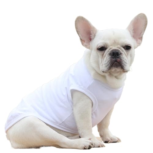 Bexdug Kleine Hundewesten-Kleidung,Hundewesten-Kleidung,Weiche Weste für kaltes Wetter, warmes Sweatshirt, Welpenkleidung | Warme Sweatshirt-Hundejacke, modische Pullover-Hundejacke für kaltes Wetter Bexdug Kleine Hundewesten-Kleidung,Hundewesten-Kleidung,Weiche Weste für kaltes Wetter, warmes Sweatshirt, Welpenkleidung | Warme Sweatshirt-Hundejacke, modische Pullover-Hundejacke für kaltes Wetter von Bexdug