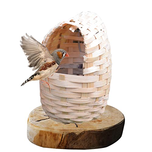 Bexdug Kolibri-Haus | Hängendes Vogelhausnest - Handgewebte Vogelhäuschen aus Bambus, Kolibri-Nest im Freien für kleine Vögel und Kleintiere von Bexdug