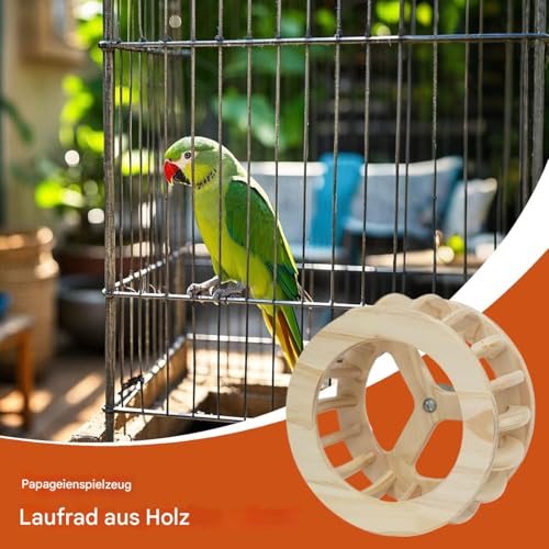 Bexdug Vogelkäfig Spielzeug - Drehbares Vogel Holmsitzrad - Stehhilfe Interaktives Spielzeug Für Nymphensittiche Sittiche Kanarienvögel Wellensittiche Tauben Unzertrennliche Haustiere von Bexdug