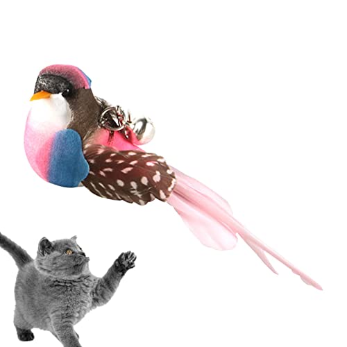 Bexdug Vogelspielzeug für Katzen - Zauberstab-Nachfüllungen mit Feder und Glocke | Katzenstab-Ersatz, Kätzchen-Kaustäbchen, interaktiver Katzen-Teaser für Hauskatzen von Bexdug