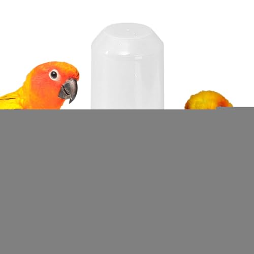 Bexdug Wasserspender für Vögel, Vogeltränke - 350 ml Papageientränke - Abnehmbares Design, Vogelbewässerung, Baumgartendekoration, automatische Vogelbewässerung für mittelgroße Vögel, Sittiche, Bexdug Wasserspender für Vögel, Vogeltränke - 350 ml Papageientränke - Abnehmbares Design, Vogelbewässerung, Baumgartendekoration, automatische Vogelbewässerung für mittelgroße Vögel, Sittiche, von Bexdug