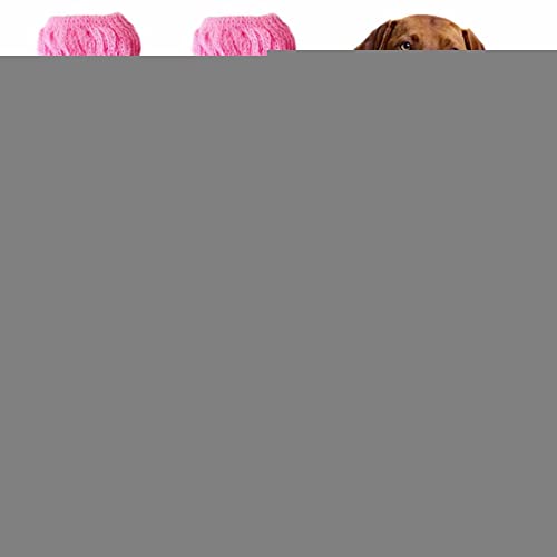 Bexdug rutschfeste Hundesocken | 4 Stück Cartoon Hundesocken rutschfeste Traktionskontrolle | Anti-schmutziger Pfotenschutz für den Innenbereich von kleinen, mittelgroßen Haustieren, Hunden, sicher von Bexdug