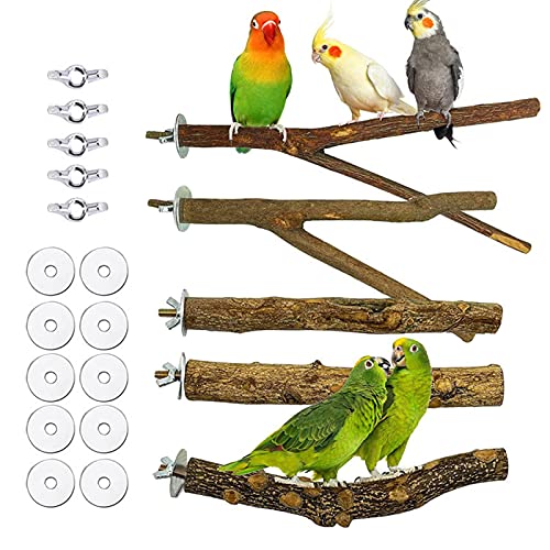 Holz Vogelstangenständer,Papagei Sitzstangen,Vogelkäfig Stangenzubehör,Vögel Spielzeug Papagei Schaukel Spielzeug von Bexdug