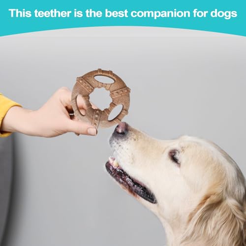 Hundekauspielzeug Für Starke Kauer - Extra Stabiles Kauspielzeug,Zahnreinigende Knochenform Zur Beschäftigung Für Unterwegs & Zuhause Hundekauspielzeug Für Starke Kauer - Extra Stabiles Kauspielzeug,Zahnreinigende Knochenform Zur Beschäftigung Für Unterwegs & Zuhause von Bexdug