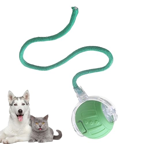 Interaktiver Katzenball, automatisches Rollen, interaktives Spielzeug, elektrischer intelligenter Ball mit Schwanzseil für Kätzchen, Jagd, Simulation von Langeweile Interaktiver Katzenball, automatisches Rollen, interaktives Spielzeug, elektrischer intelligenter Ball mit Schwanzseil für Kätzchen, Jagd, Simulation von Langeweile von Bexdug