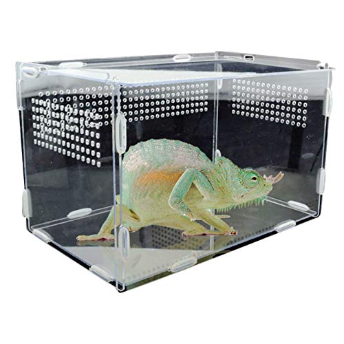 Reptile Breeding Box, Acrylic Feeding Box for Frog Cricket Turtle, Transparente Zuchtbecken, mit Kleinen Luftlöchern Für Insekten Spinnen Eidechsen Frosch Schildkröten Raupen von Bexdug