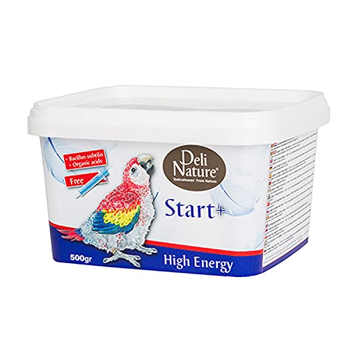 Beyers DELINATURE Spritzpaste Start+ High Energy - 500 g, Vögel von Beyers