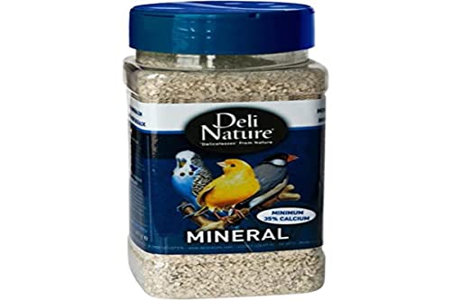 Beyers Deli Nature Mineralien für Vögel von Beyers