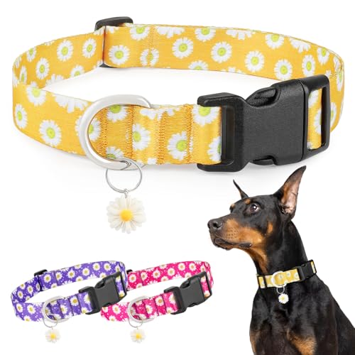 BiPawTi Süßes Halsband Hund Grosse Hunde - Weiches, Verstellbares Hundehalsbänder mit Margeritenmuster & Süßem Anhänger - Perfektes Accessoire für Große Hunde, Hundehalsband Gelbes Margeritenmuster, L BiPawTi Süßes Halsband Hund Grosse Hunde - Weiches, Verstellbares Hundehalsbänder mit Margeritenmuster & Süßem Anhänger - Perfektes Accessoire für Große Hunde, Hundehalsband Gelbes Margeritenmuster, L von BiPawTi