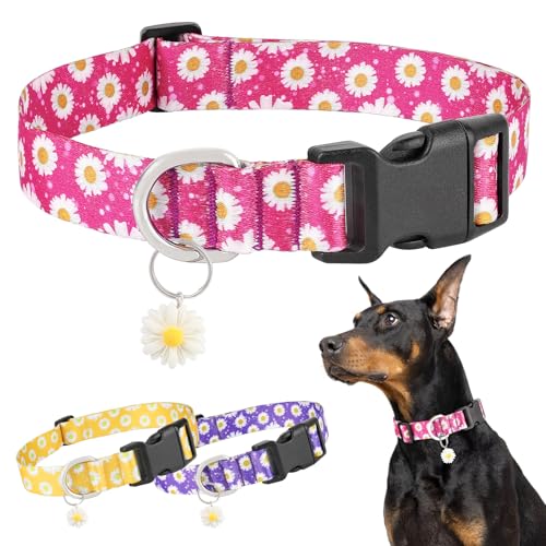 BiPawTi Welpen Halsbänder mit Blumenmuster & Süßem Margeritenanhänger - Weiches, Verstellbares Halsband Welpe Süßes Hundehalsband Kleine Hunde, Hundehalsband Rosa Margeritenmuster, S BiPawTi Welpen Halsbänder mit Blumenmuster & Süßem Margeritenanhänger - Weiches, Verstellbares Halsband Welpe Süßes Hundehalsband Kleine Hunde, Hundehalsband Rosa Margeritenmuster, S von BiPawTi