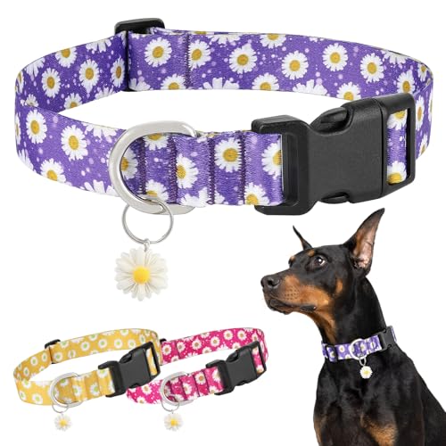BiPawTi Süßes Hundehalsband Mittelgroße Hunde - Weiches, Verstellbares Halsband mit Margeritenanhänger & Hübsches Blumen Margeritenmuster - Lila Hundehalsband für Mittlere Hunde, M BiPawTi Süßes Hundehalsband Mittelgroße Hunde - Weiches, Verstellbares Halsband mit Margeritenanhänger & Hübsches Blumen Margeritenmuster - Lila Hundehalsband für Mittlere Hunde, M von BiPawTi