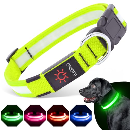 BiPawTi Beleuchtetes Leuchthalsband für Hund Groß, Aufladbar LED Hundehalsband Hund mit 3 Lichtmodi, Super Helle für Hunde Leuchtet Im Dunkeln Leuchtband Hund Halsband fürs Nachtspaziergänge - Grün, L BiPawTi Beleuchtetes Leuchthalsband für Hund Groß, Aufladbar LED Hundehalsband Hund mit 3 Lichtmodi, Super Helle für Hunde Leuchtet Im Dunkeln Leuchtband Hund Halsband fürs Nachtspaziergänge - Grün, L von BiPawTi
