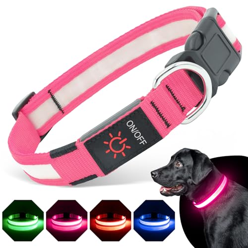BiPawTi LED Hundehalsband Leuchtend für Hunde, Aufladbar Leuchthalsband mit 3 Lichtmodi - Leuchtet Im Dunkeln Leucht Halsbänder für Große Hunde - Stylische Zubehör fürs Camping mit Hund - Rosa, L BiPawTi LED Hundehalsband Leuchtend für Hunde, Aufladbar Leuchthalsband mit 3 Lichtmodi - Leuchtet Im Dunkeln Leucht Halsbänder für Große Hunde - Stylische Zubehör fürs Camping mit Hund - Rosa, L von BiPawTi