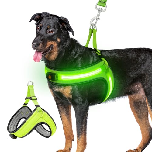 BiPawTi Beleuchtetes Leuchtgeschirr für Hunde, Aufladbar LED Brustgeschirr Hund Groß - Leuchtet Im Dunkeln, Leuchtendes Hundegeschirr Große Hunde, Stylische Zubehör fürs Camping mit Hund - Grünlicht BiPawTi Beleuchtetes Leuchtgeschirr für Hunde, Aufladbar LED Brustgeschirr Hund Groß - Leuchtet Im Dunkeln, Leuchtendes Hundegeschirr Große Hunde, Stylische Zubehör fürs Camping mit Hund - Grünlicht von BiPawTi