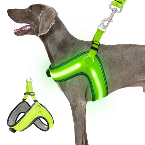 BiPawTi LED Hundegeschirr Leuchtend für Hunde,Aufladbar Leuchtgeschirr Hundeweste mit 3 Lichtmodi,Leuchtet Im Dunkeln Leuchtendes Geschirr Hund Groß, Praktisch Zubehör fürs Camping mit Hund, Grünlicht BiPawTi LED Hundegeschirr Leuchtend für Hunde,Aufladbar Leuchtgeschirr Hundeweste mit 3 Lichtmodi,Leuchtet Im Dunkeln Leuchtendes Geschirr Hund Groß, Praktisch Zubehör fürs Camping mit Hund, Grünlicht von BiPawTi