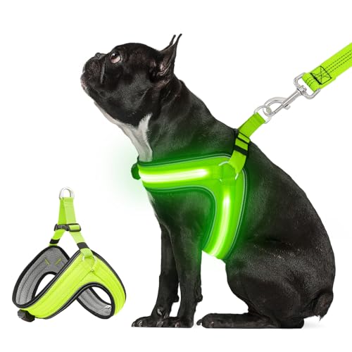 BiPawTi Leuchtendes Hundegeschirr Mittelgroße Hunde, Aufladbar Leuchtgeschirr Hundeweste mit 3 Lichtmodi - Leuchtet Im Dunkeln LED Geschirr für Hunde, Brustgeschirr fürs Camping mit Hund - Grünlicht BiPawTi Leuchtendes Hundegeschirr Mittelgroße Hunde, Aufladbar Leuchtgeschirr Hundeweste mit 3 Lichtmodi - Leuchtet Im Dunkeln LED Geschirr für Hunde, Brustgeschirr fürs Camping mit Hund - Grünlicht von BiPawTi