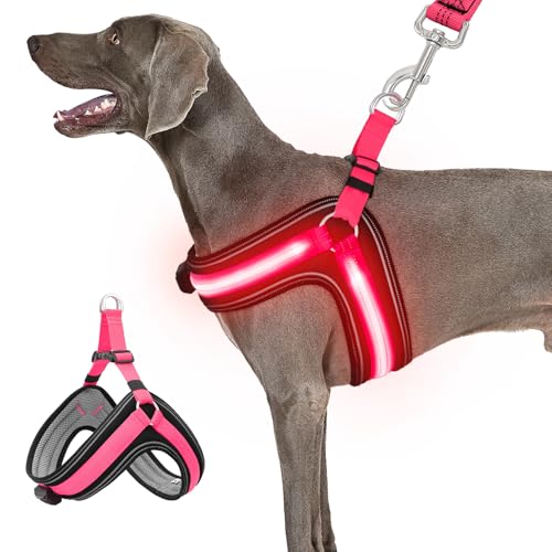 BiPawTi Beleuchtetes Leuchtgeschirr für Hunde, Aufladbar Brustgeschirr Hund Groß mit 3 Lichtmodi, Leuchtet Im Dunkeln Leuchtendes Hundegeschirr Große Hunde, Leuchtweste fürs Camping mit Hund, Rotlicht BiPawTi Beleuchtetes Leuchtgeschirr für Hunde, Aufladbar Brustgeschirr Hund Groß mit 3 Lichtmodi, Leuchtet Im Dunkeln Leuchtendes Hundegeschirr Große Hunde, Leuchtweste fürs Camping mit Hund, Rotlicht von BiPawTi