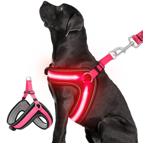 BiPawTi LED Hundegeschirr Leuchtend für Hunde, Aufladbar Leuchtgeschirr Hundeweste mit 3 Lichtmodi - Leuchtet Im Dunkeln Leucht Geschirr für Hunde - Stylische Zubehör fürs Camping mit Hund - Rotlicht BiPawTi LED Hundegeschirr Leuchtend für Hunde, Aufladbar Leuchtgeschirr Hundeweste mit 3 Lichtmodi - Leuchtet Im Dunkeln Leucht Geschirr für Hunde - Stylische Zubehör fürs Camping mit Hund - Rotlicht von BiPawTi