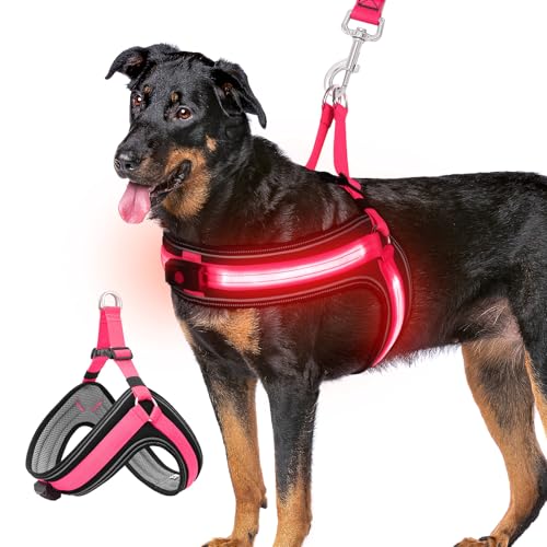 BiPawTi LED Hundegeschirr für Kleine Hunde, 3 Lichtmodi Beleuchtetes Leuchtgeschirr Hund Aufladbar, Leuchtet Im Dunkeln Leuchtendes Geschirr für Nachtspaziergänge, Camping mit Hund - Rosa (Rotlicht) BiPawTi LED Hundegeschirr für Kleine Hunde, 3 Lichtmodi Beleuchtetes Leuchtgeschirr Hund Aufladbar, Leuchtet Im Dunkeln Leuchtendes Geschirr für Nachtspaziergänge, Camping mit Hund - Rosa (Rotlicht) von BiPawTi