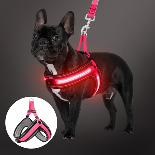 BiPawTi LED Brustgeschirr Hund Mittel, Wiederaufladbares Leuchtgeschirr Hundeweste mit 3 Lichtmodi - Leuchtet Im Dunkeln - Praktisch Zubehör fürs Camping mit Hund - Leuchtendes Hundegeschirr Rotlicht BiPawTi LED Brustgeschirr Hund Mittel, Wiederaufladbares Leuchtgeschirr Hundeweste mit 3 Lichtmodi - Leuchtet Im Dunkeln - Praktisch Zubehör fürs Camping mit Hund - Leuchtendes Hundegeschirr Rotlicht von BiPawTi
