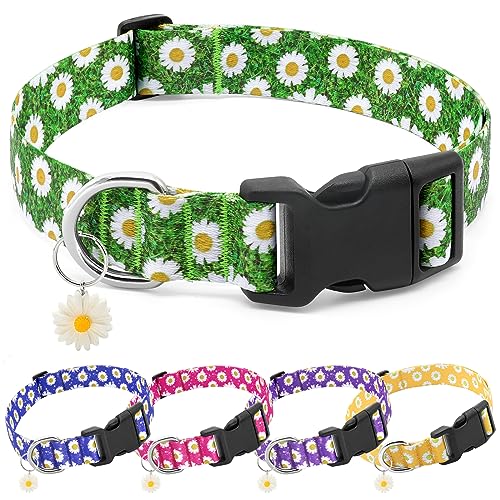 BiPawTi Grünes Hundehalsband für St. Patrick's Day, süßes Blumen-Welpenhalsband für extra kleine Hunde, florales Frühlings-Hundehalsband für kleine Hunde mit hübschen Gänseblümchen-Anhängern (XS, Grün von BiPawTi