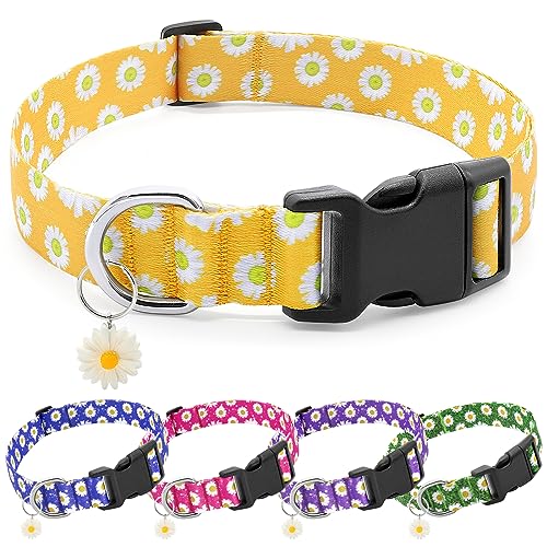 BiPawTi Hundehalsband mit Blumen-Motiv für große Hunde – weich, niedliches Hundehalsband für Mädchen, hübsches Blumenhalsband mit Gänseblümchen-Charms, Sommer-Hundehalsband für weibliche männliche von BiPawTi