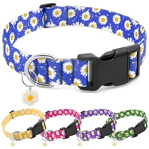 BiPawTi Hundehalsband mit Blumenmuster für große Hunde, weich, niedlich, für Mädchen, hübsches Blumenhalsband mit Gänseblümchen-Charms, Geschenk für weibliche Männer, Jungen, Mädchen, Hunde (XL, Blau) von BiPawTi