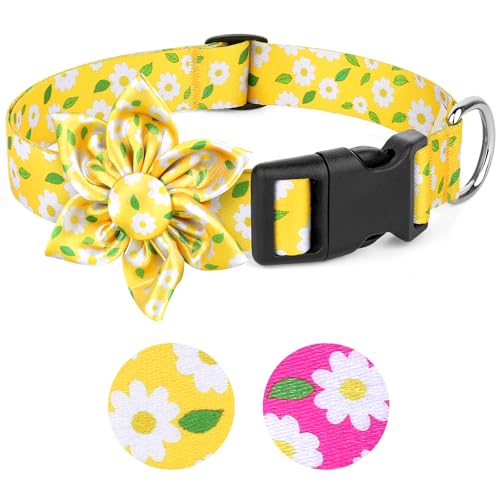 BiPawTi Hundehalsband mit Blumenmuster für große Hunde, weiches Gänseblümchen-Halsband mit Blütendekoration, niedliches, extra großes Halsband für Hündinnen (Gelb, XL) BiPawTi Hundehalsband mit Blumenmuster für große Hunde, weiches Gänseblümchen-Halsband mit Blütendekoration, niedliches, extra großes Halsband für Hündinnen (Gelb, XL) von BiPawTi